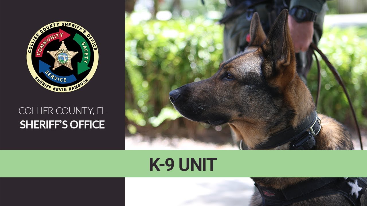 Collier County Sheriff's Office K-9 Unit