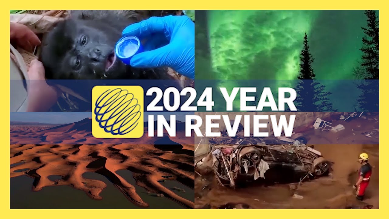 Most extreme world weather events in 2024