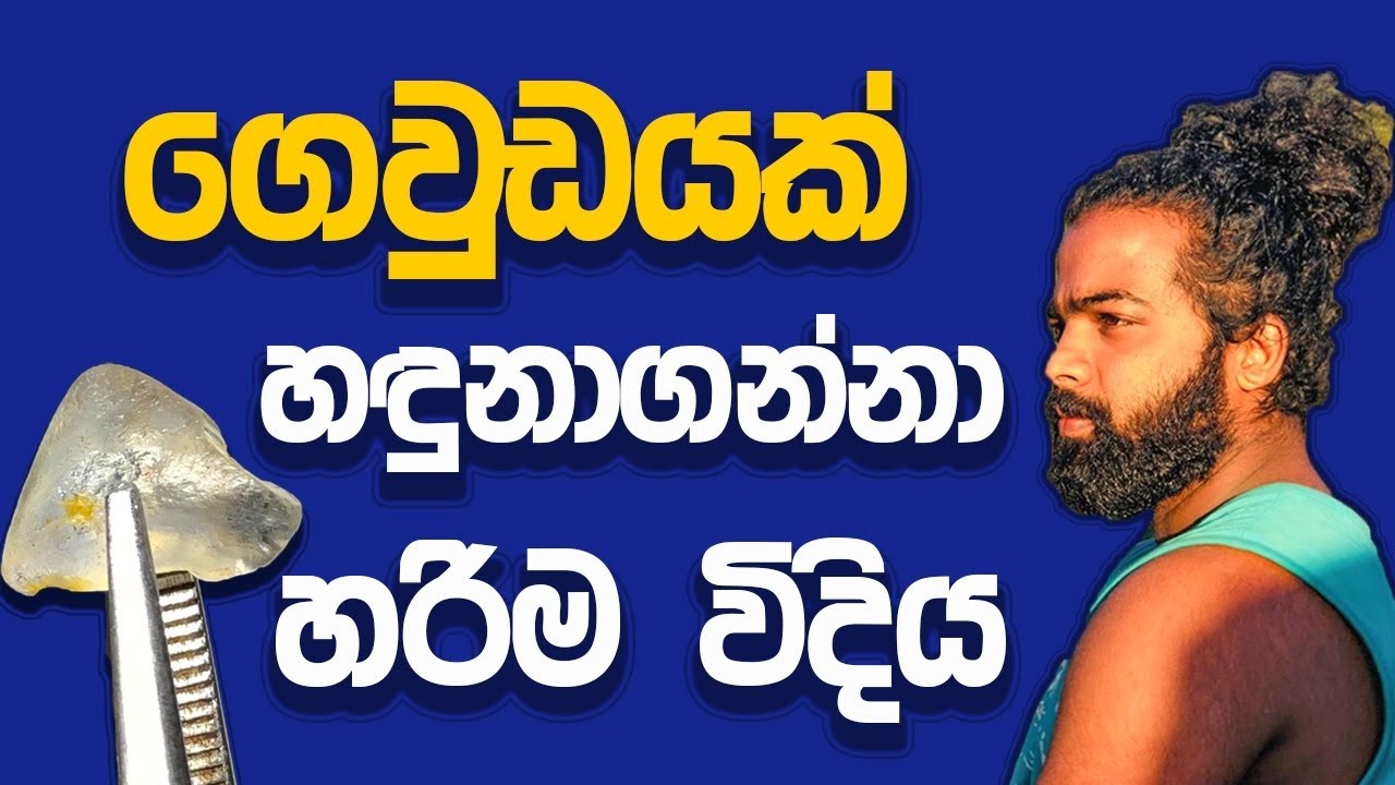 ගෙවුඩයක් හදුනා ගන්නා හරිම විදිය !