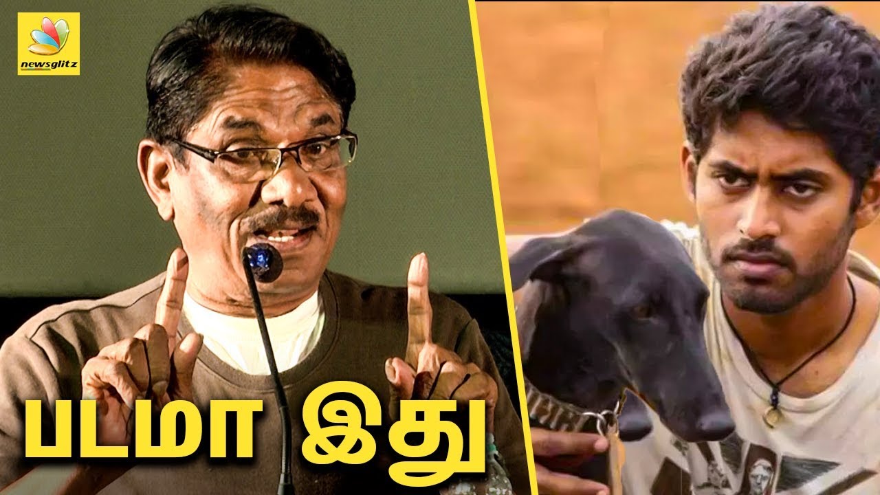 படமா இது : பரியேறும் பெருமாள் பற்றி பாரதிராஜா : Barathiraja praises Pariyerum Perumal