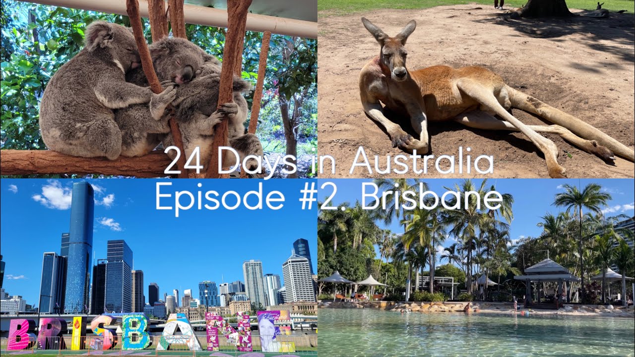 🇦🇺호주 EP.2 브리즈번에서 코알라 안아본 썰 푼다 | 24일 호주 여행 | 브리즈번 5박 6일 | Vlog. How to Hold a Koala in Brisbane
