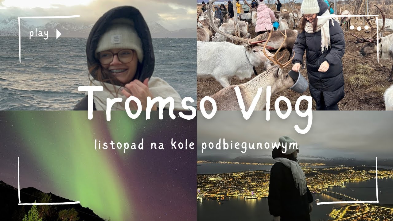 Tromso Vlog - orki, renifery, zorza polarna, Norwegia zimą