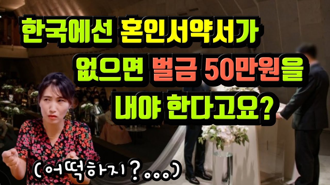 ☆웃음주의☆ 북녀의 간담을 서늘하게 만든 대한민국의 벌금!