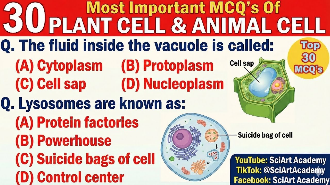 30 Most Important MCQ's Of  PLANT CELL & ANIMAL CELL || SciArt Academy|| JST, IBA, SPSC, FPSC