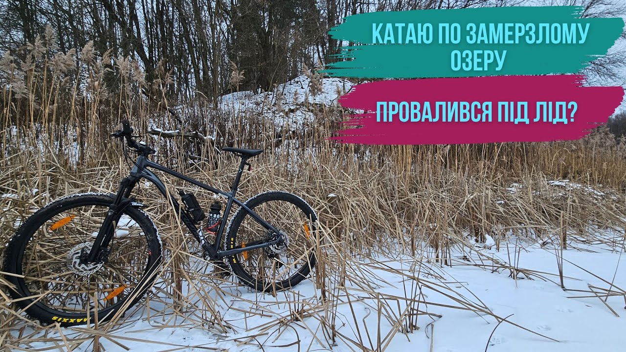 Зимовий ліс і сліди вовків 🐺❄️ Велопоїздка взимку🚲