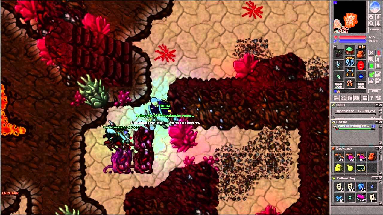 Tibia Project Druid 70-110 lvl