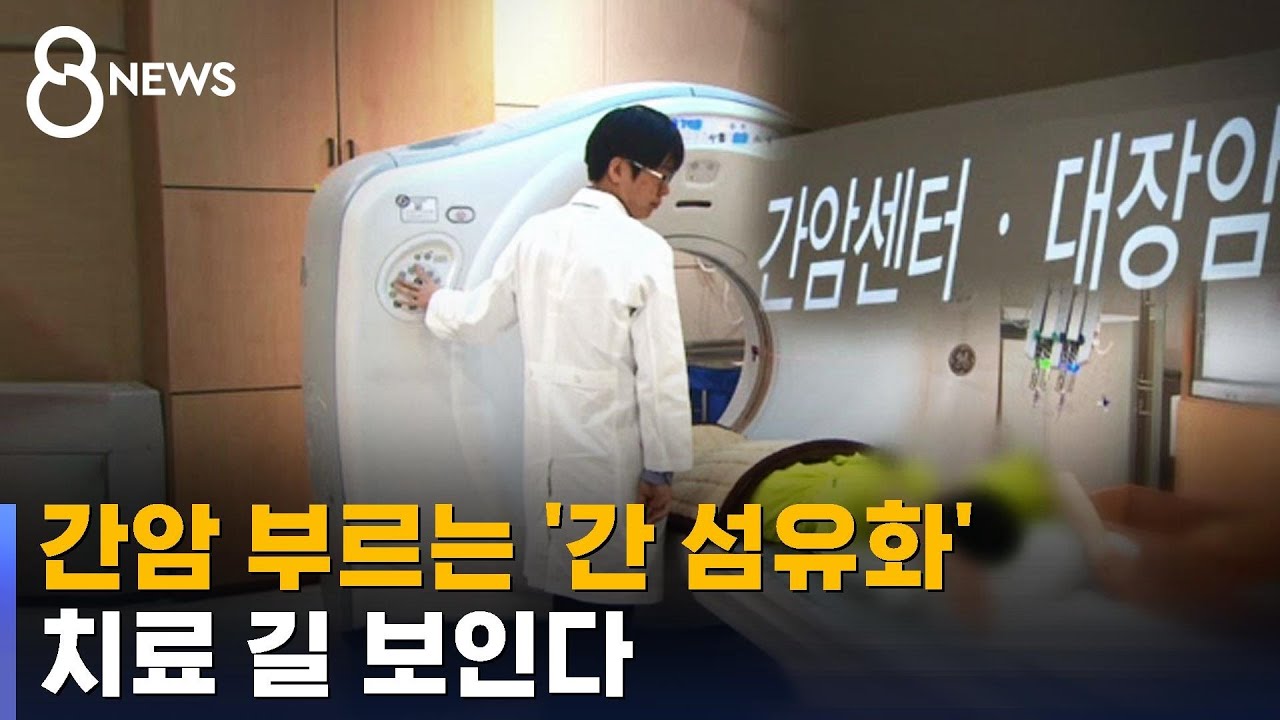 간암 부르는 '간 섬유화'&hellip;국내 연구팀이 치료 길 열었다 [건강라이프] / SBS 8뉴스