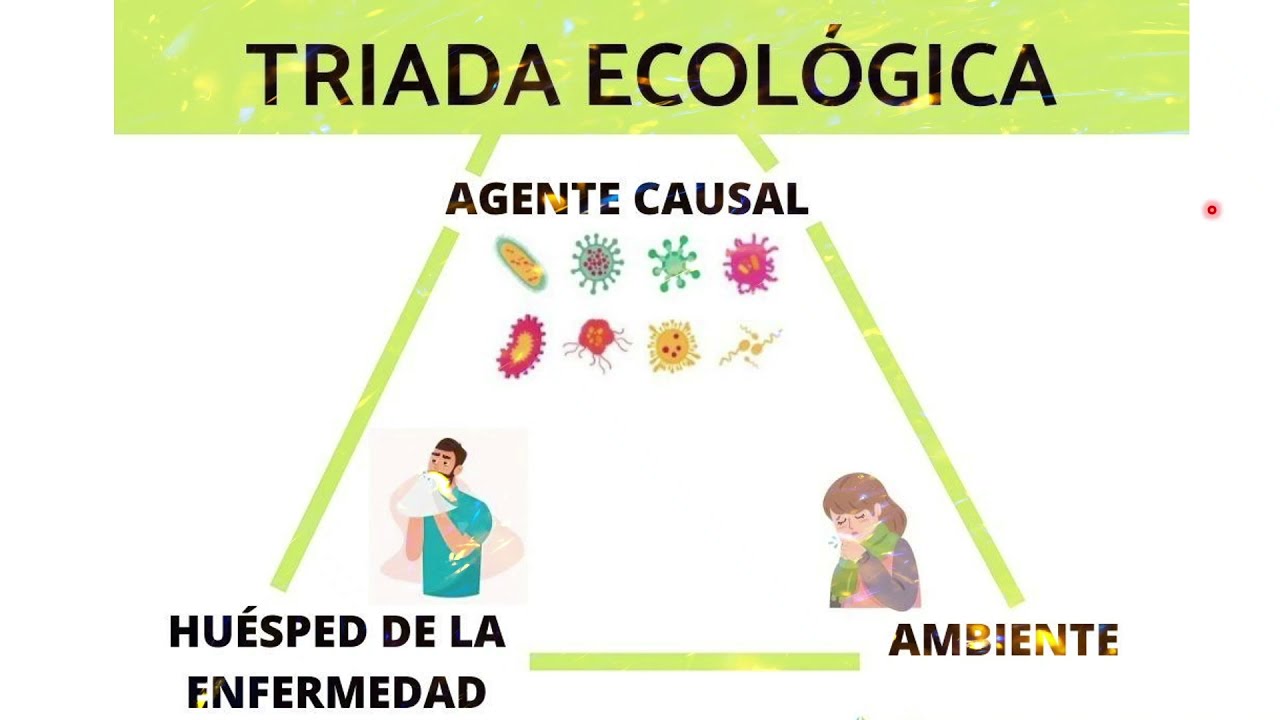 Curso de Premedicina en linea - Triada Ecologica (Clase Grabada)