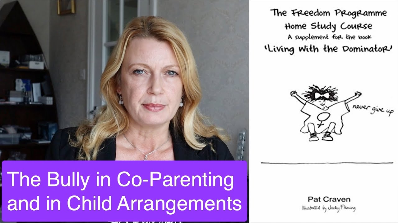 The Bully in Co-Parenting and Child Arrangements