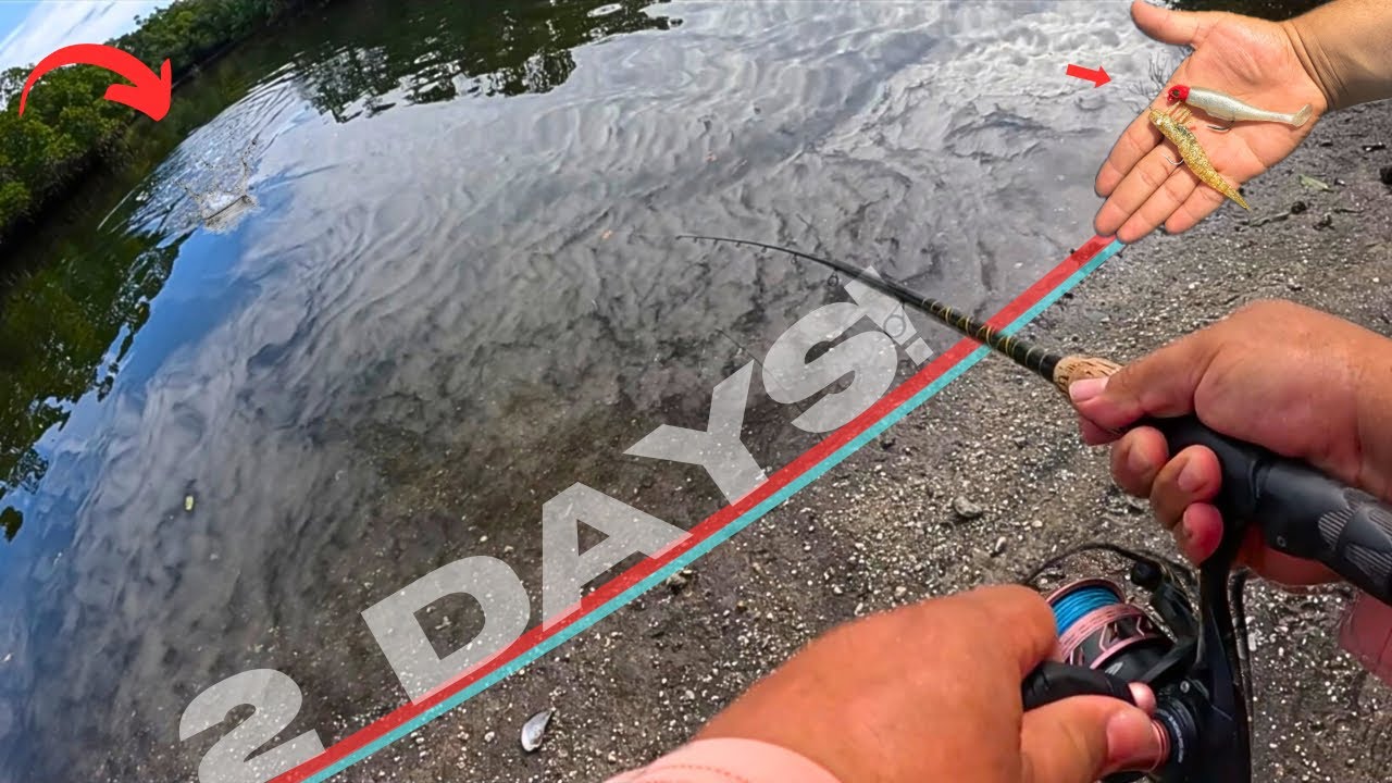 NON STOP Action w/ These LURES! *Catch & Cook*