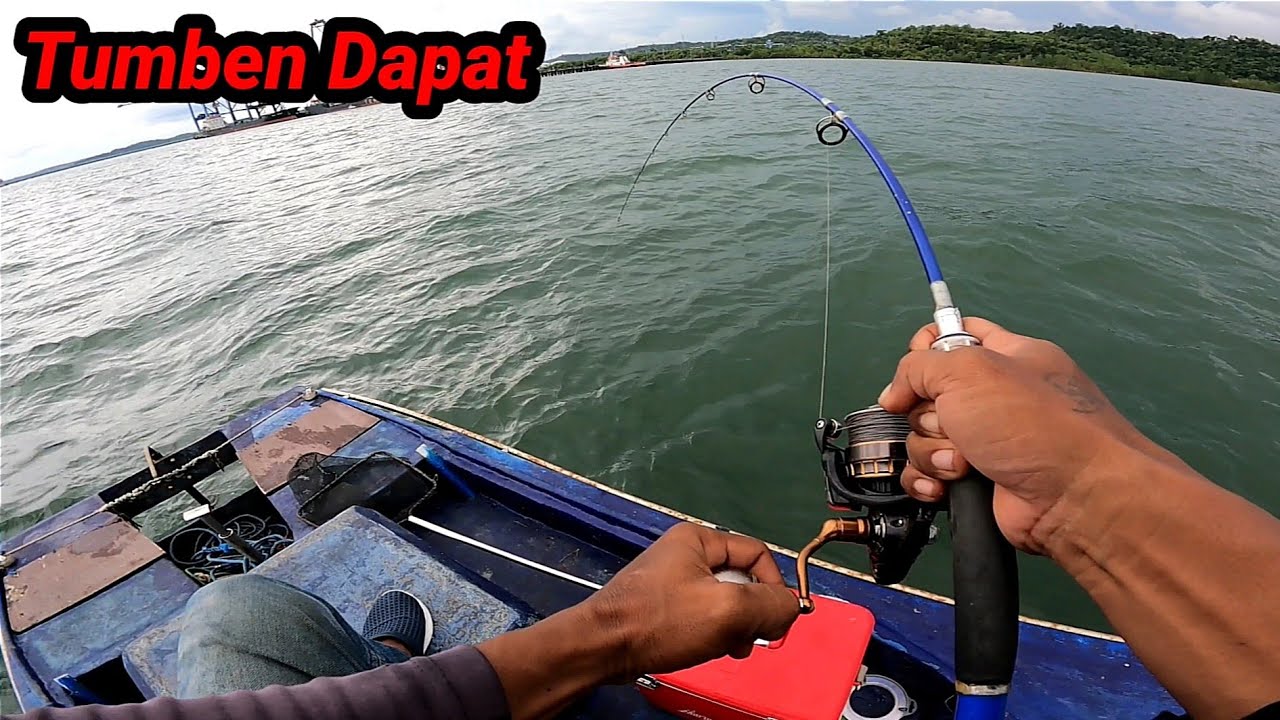 Sekian Tahun Lamanya Tumben Dapat ikan ini Lagi_ Sungguh Menyenangkan