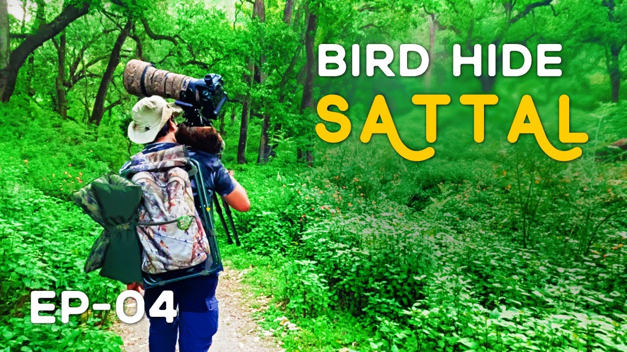EP - 04 Bird Hide Of Sattal (Bhimtal, Uttarakhand 2023 ) - 4K Video Hindi | हिन्दी