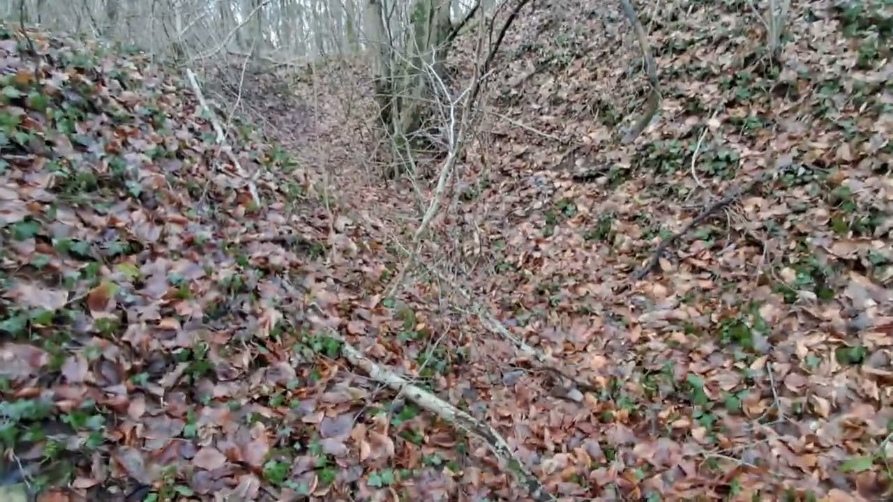 Cadre du 110ème anniversaire de la bataille de Verdun, ligne de soutien de GG1