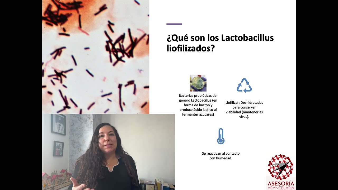 Clasificación arancelaria - Lactobacilos: ¿Capítulo 21 o 30?