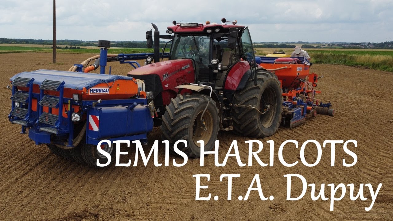 Semis de HARICOTS 🌱 l 2021 l PUMA 185