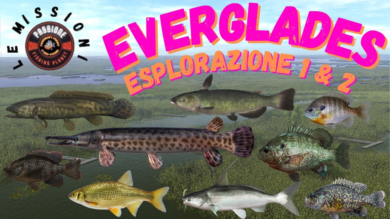 EVERGLADES - LE MISSIONI - ESPLORAZIONE 1 & 2