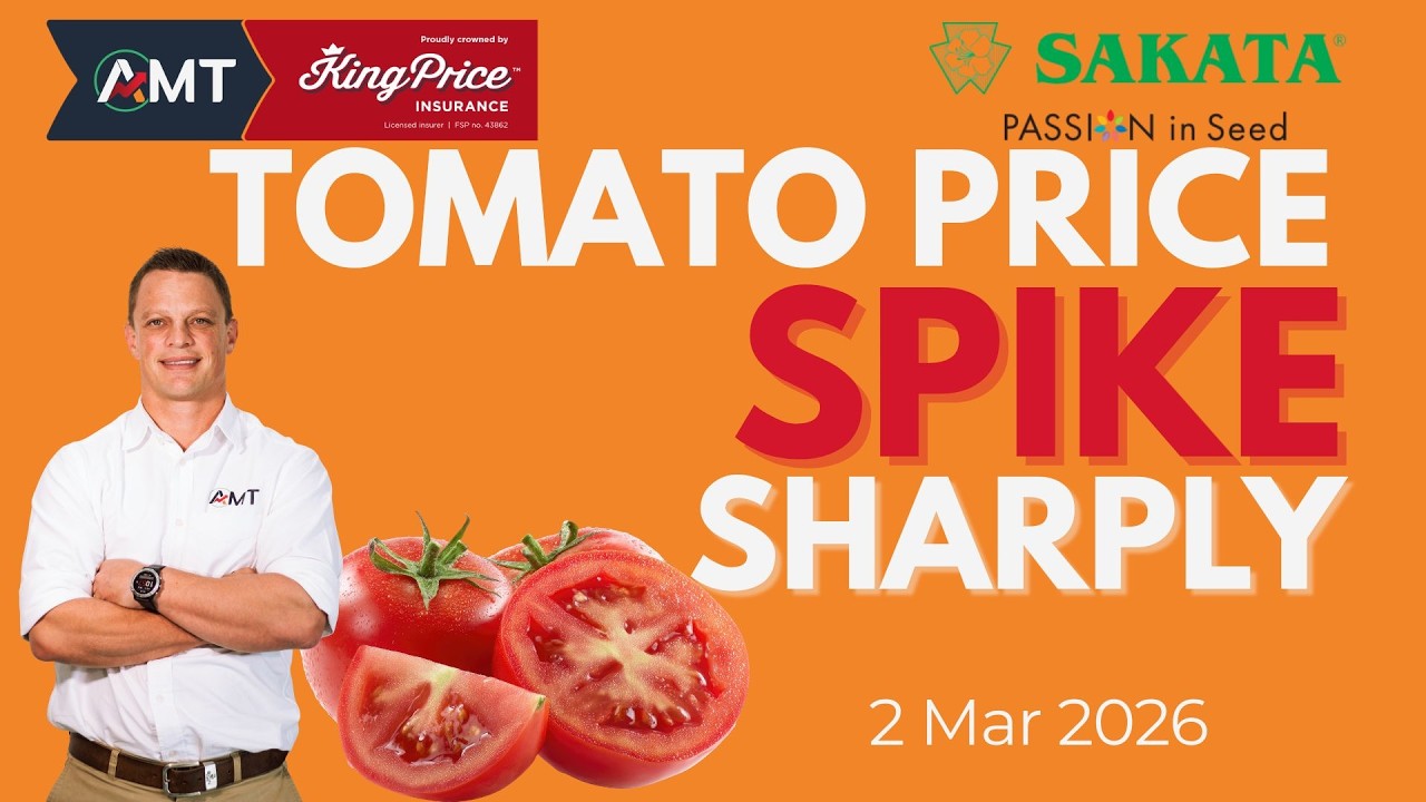 🍅 Цены на помидоры резко подскочили! | Обзор рынка свежих продуктов – 2 марта 2026 г.