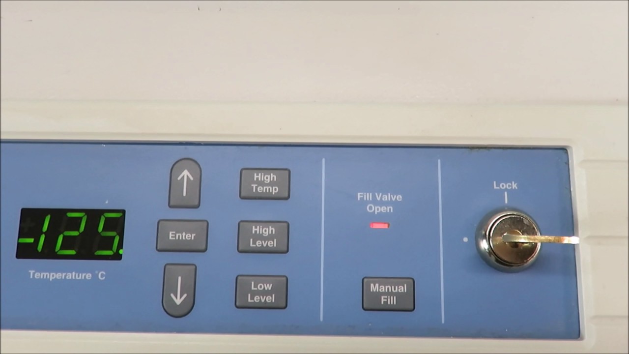 Thermo CryoPlus 2 Cryo Storage System