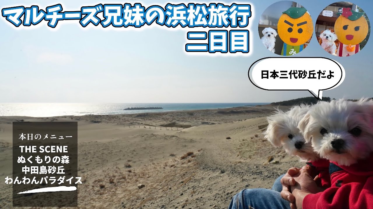 浜松旅行二日目 ぬくもりの森〜浜名湖わんわんパラダイスホテル