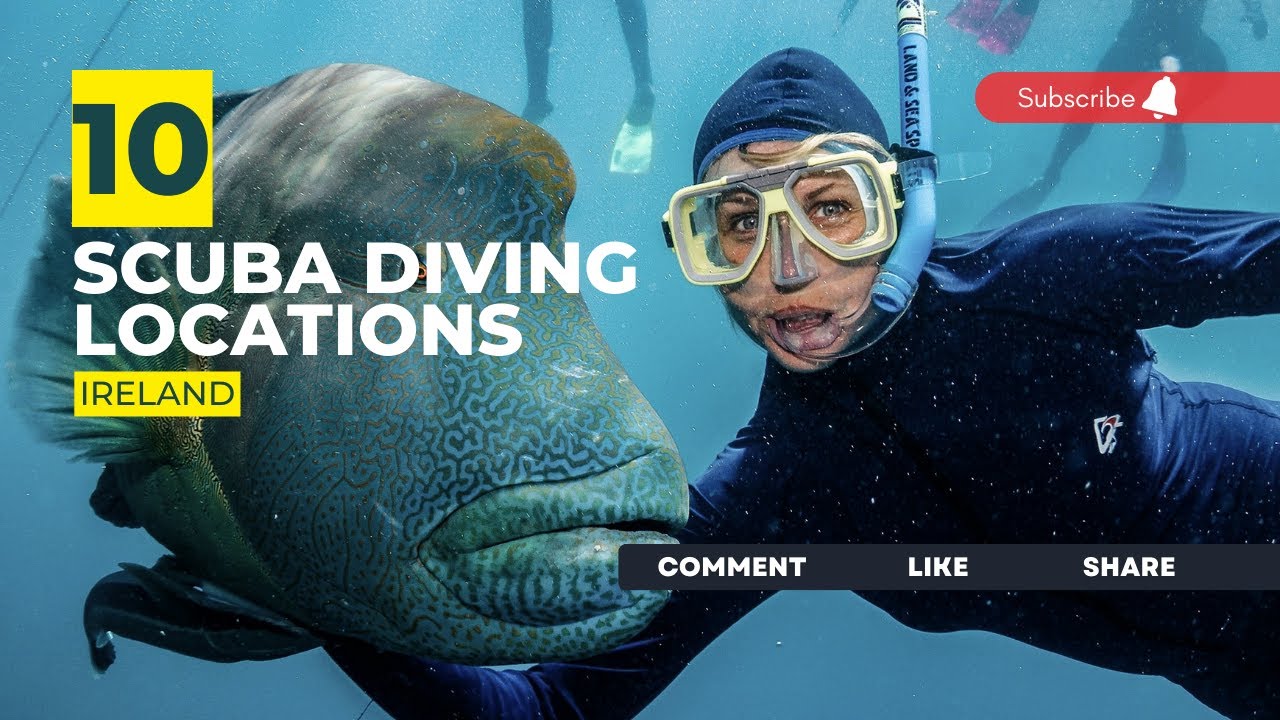 [2023] Ireland Dive Sites That Will Blow Your Mind: Our Top 10 Scuba Diving Locations