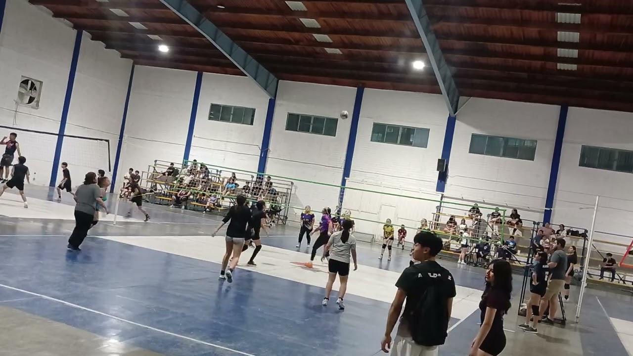 19 de febrero de 2026