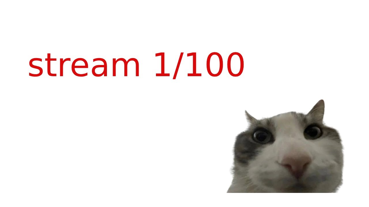 LIVE STREAM WITH MY FRIENDS