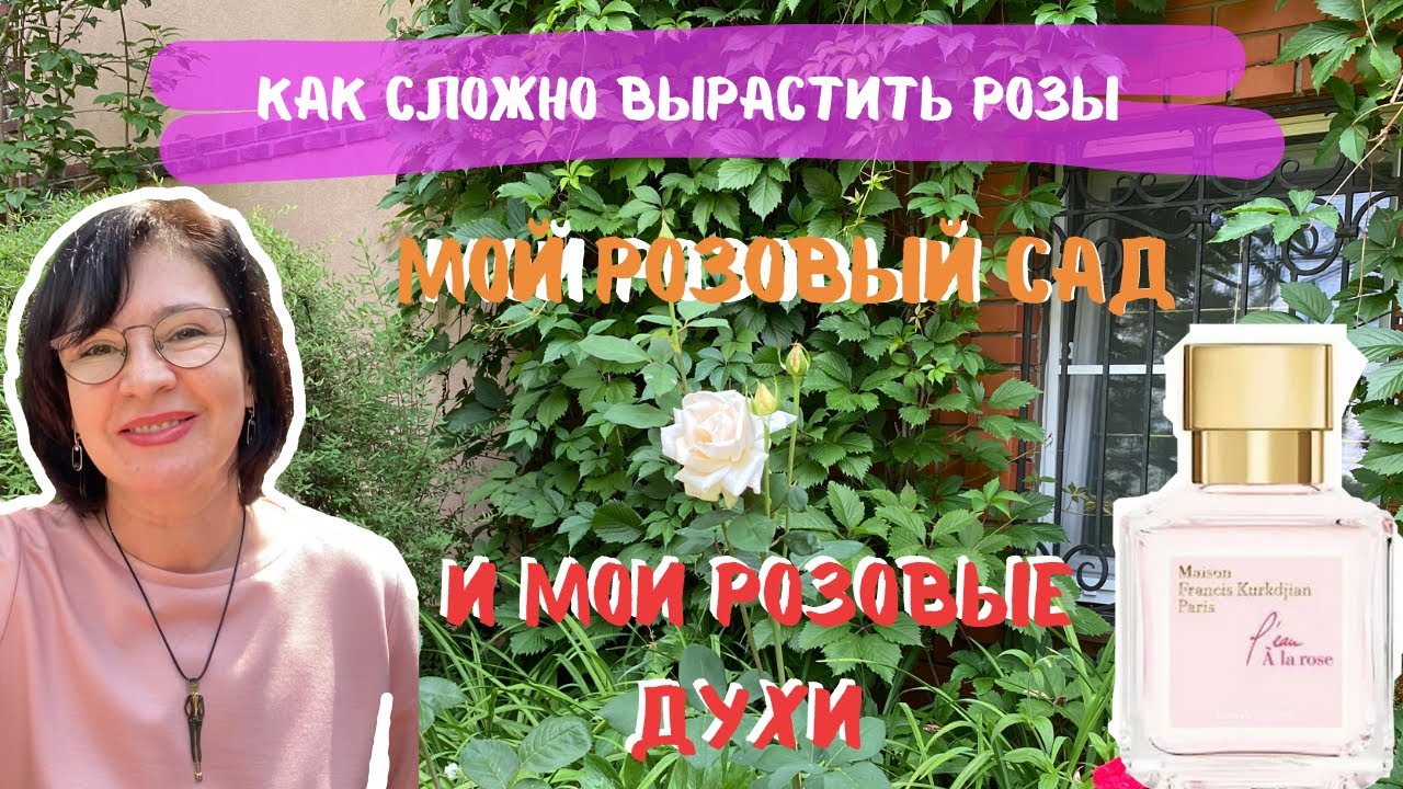 Как сложно вырастить розы | Мой розовый сад | Мои розовые духи | Francis Kurkdjian L'eau A La Rose