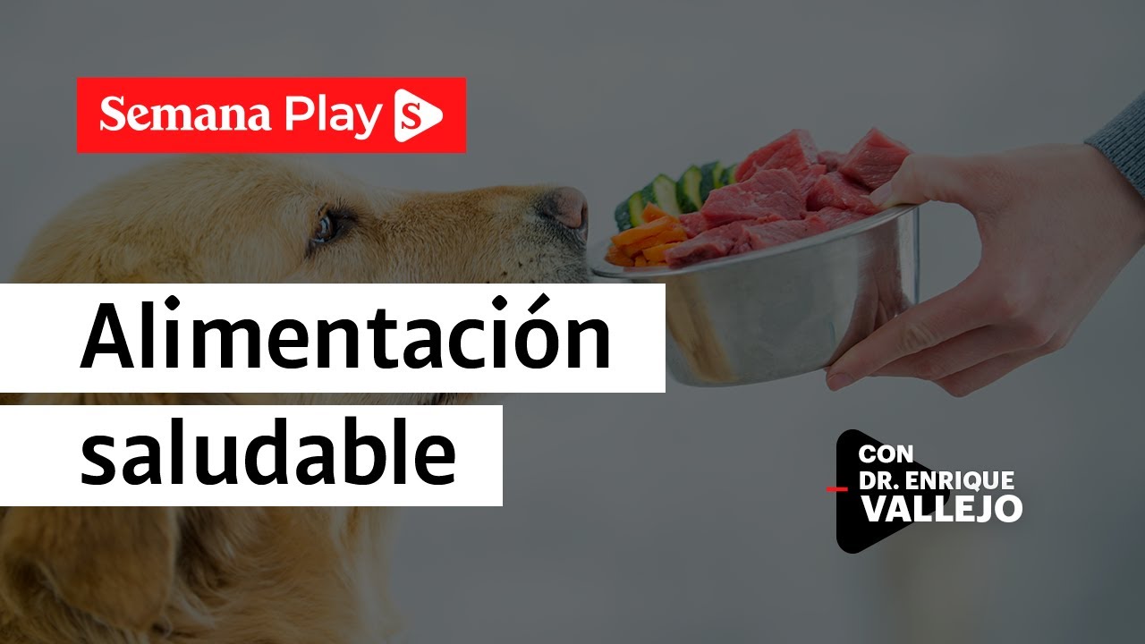 Galletas, buen método de alimentar a perros y gatos | Enrique Vallejo