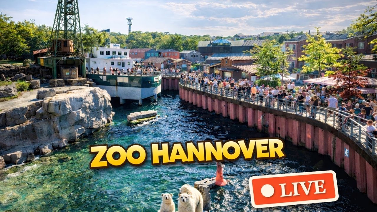 live im Zoo Honnover