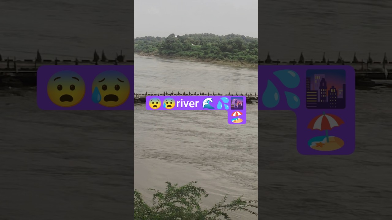 mahisagar river  🌊💦#mahisagar #mahisagarriver #river #shorts #short #uoloadshorts #indian #song