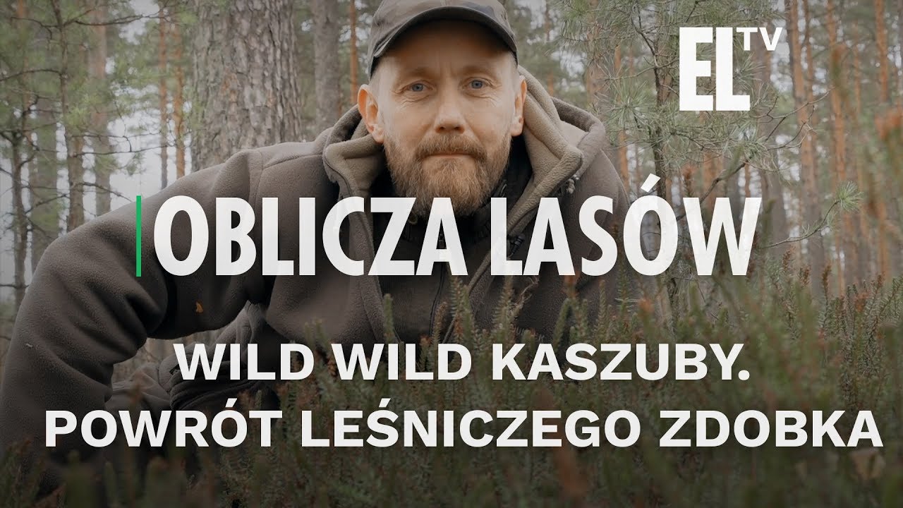 Wild wild Kaszuby. Powrót leśniczego Zdobka | Oblicza lasów #76