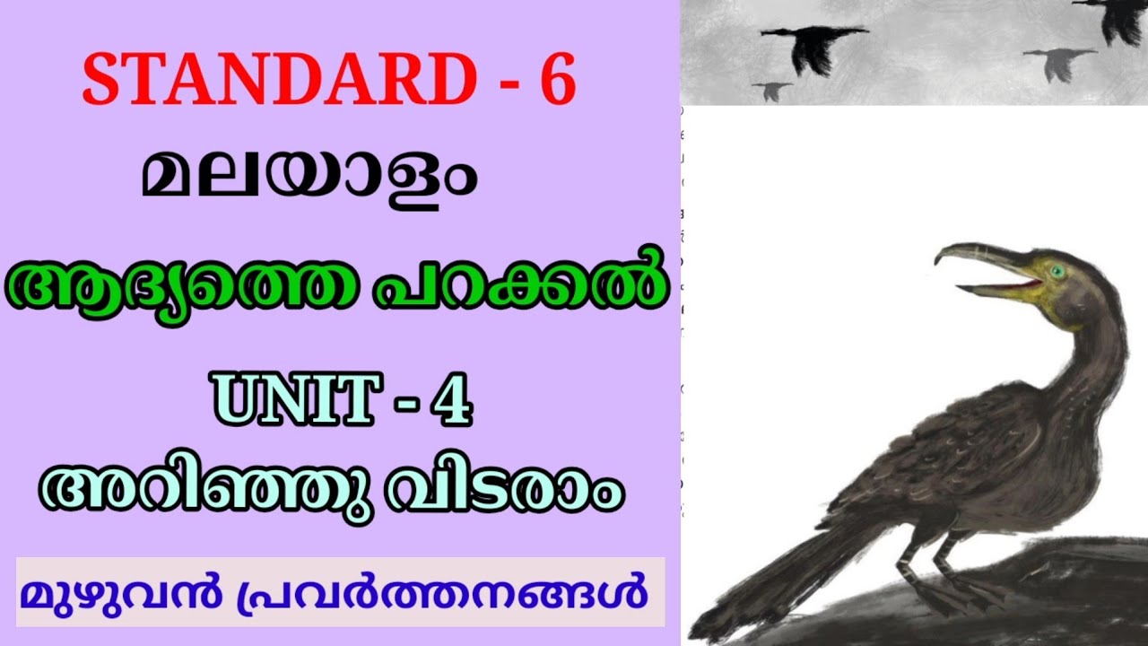 ആദ്യത്തെ പറക്കൽ STD 6 MALAYALAM UNIT 4 ARINJU VIDARAAM| ADYATHE PARAKKAL CLASS 6 MALAYALAM  UNIT 4