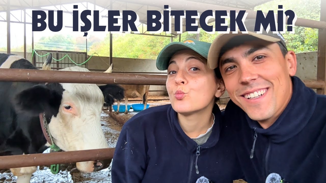 AHIRDA KAOS ŞOV!
