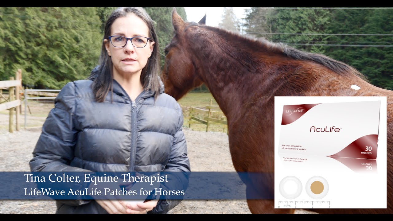 Tina Colter, Equine Therapist ~ AcuLife Patching For Horses Demonstration