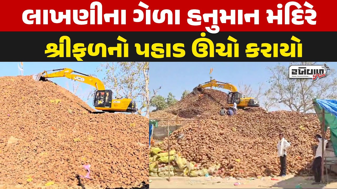લાખણીના ગેળા હનુમાન મંદિરે શ્રીફળનો પહાડ ઊંચો કરાયો / Gela Hanuman Temple