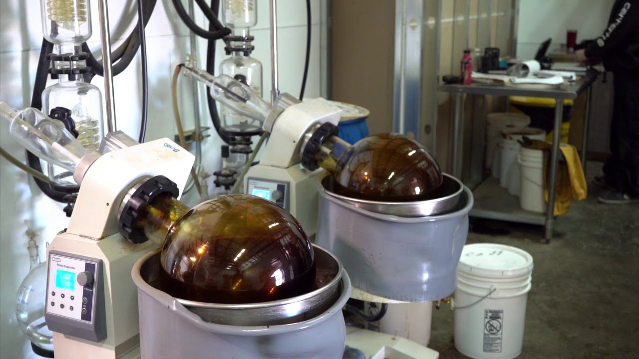 Stages of Hemp Extraction - Phase 2 Extraction