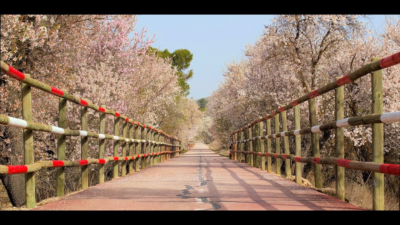 Almendros