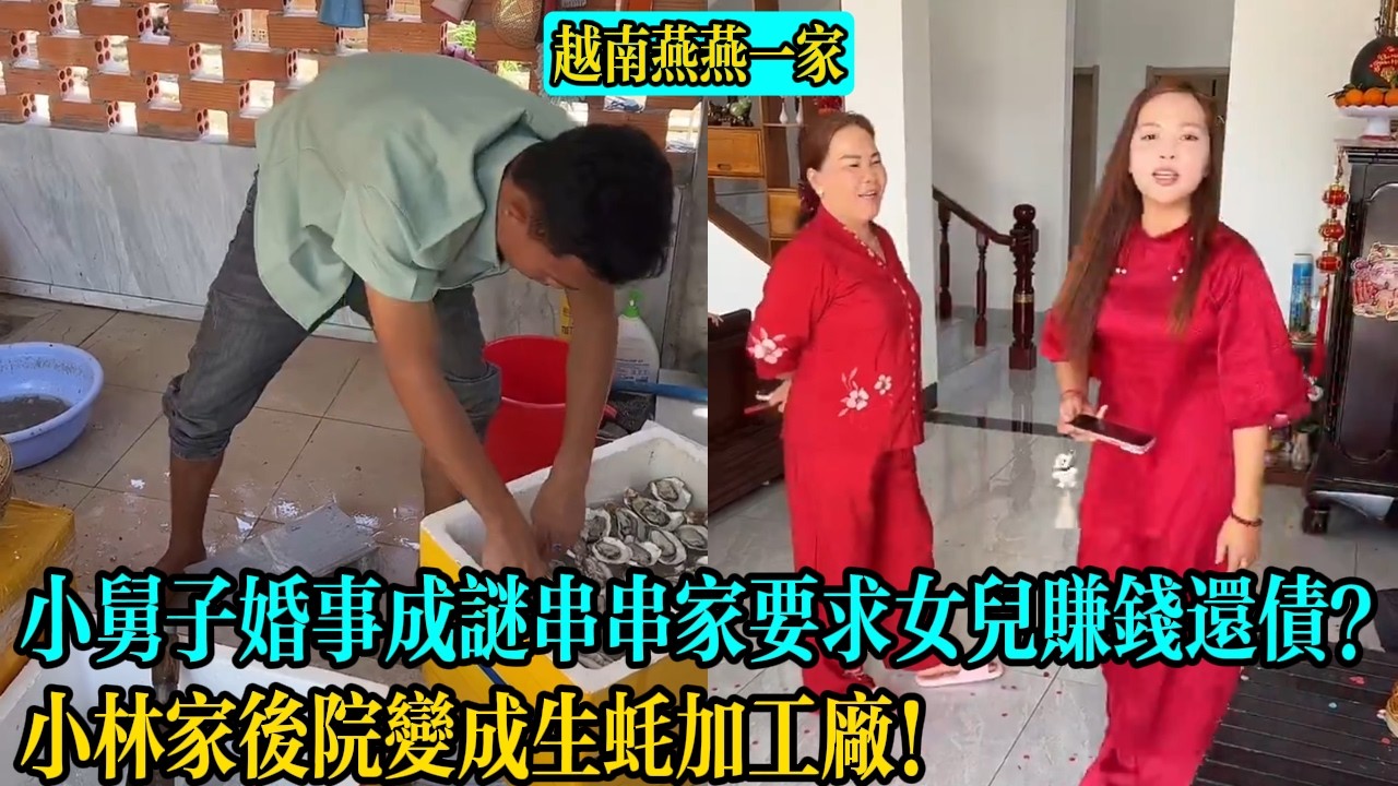 【越南燕燕一家】小舅子婚事成謎串串家要求女兒賺錢還債！小林家後院變成生蠔加工廠！