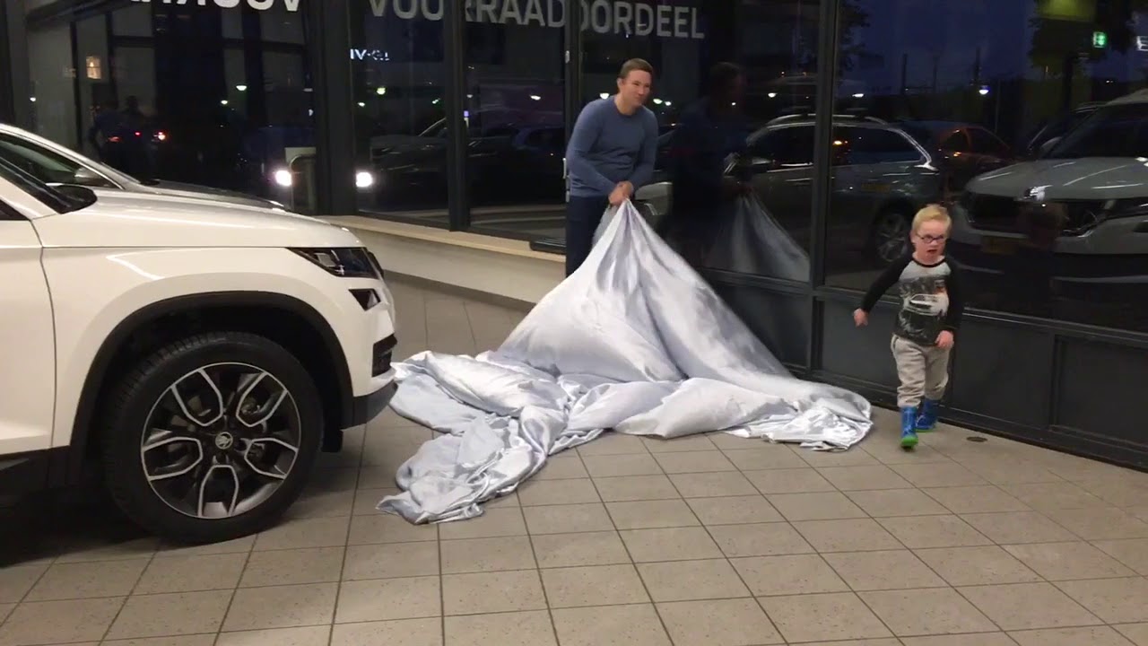 De onthulling
