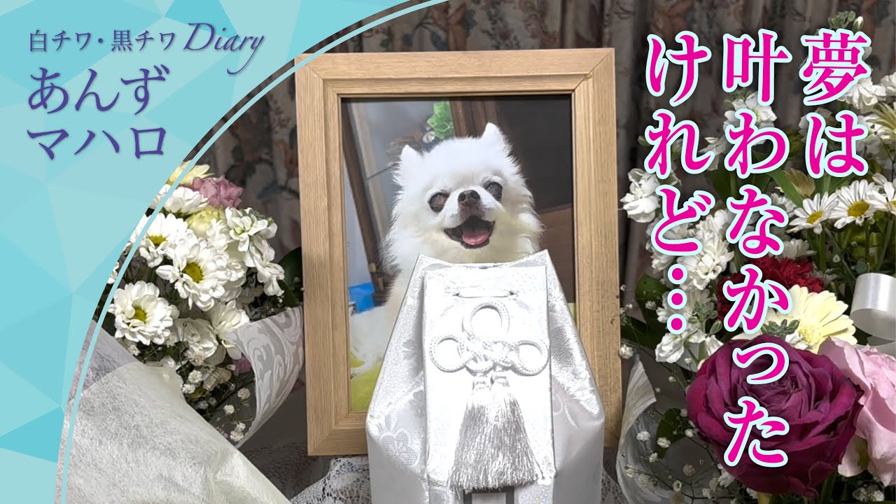 【感謝】すべての皆さまにありがとう🙇