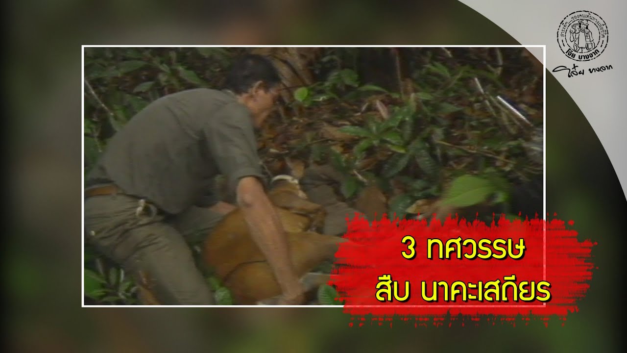 T060 ส่องโลก ตอน รำลึก สืบ นาคะเสถียร (ออกอากาศ 5 ก.ย. 2563)