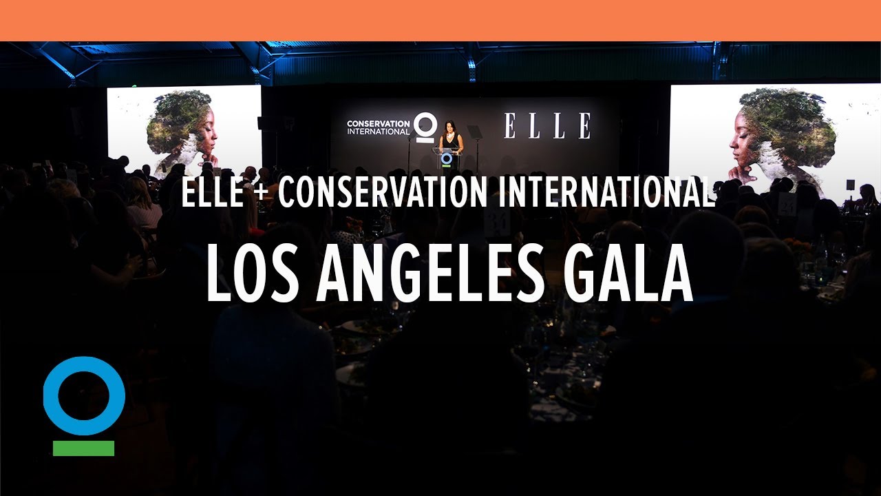 Conservation International + Elle 2019 Los Angeles Gala