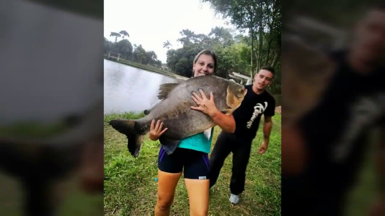 Mulher na pesca, s&oacute; peixe top com ela, show... Amo muito tudo isso...