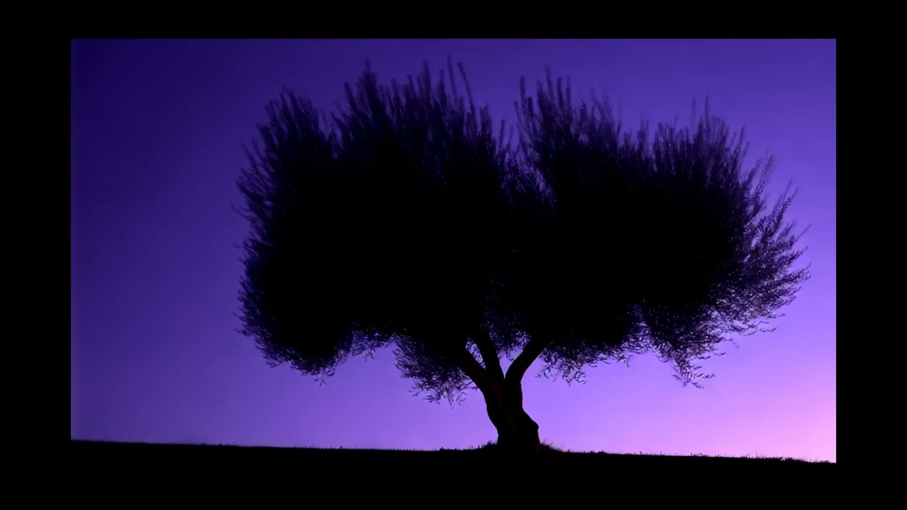 Релакс под оливковым деревом/Relax under the olive tree