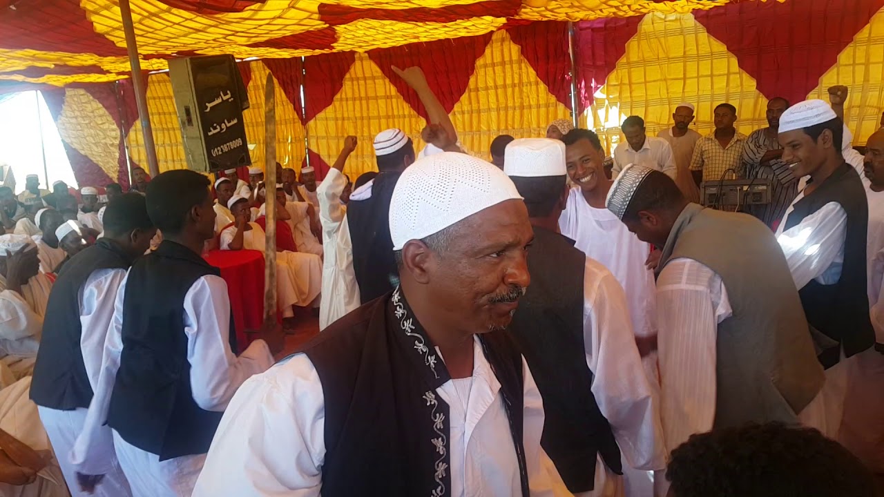 مفيدة حلمي في الاعوال زواج محمد الامين عبدالقادر