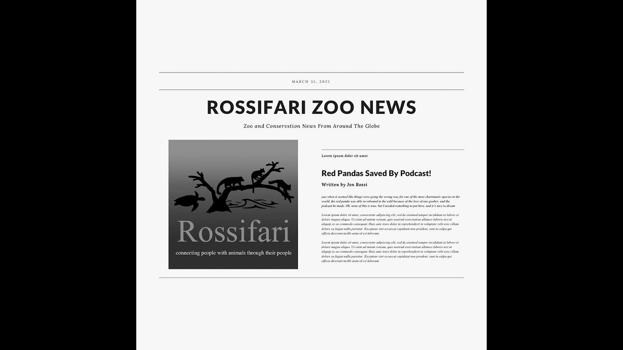 Rossifari Zoo News 5.30.25 - The Deliberately Dastardly Drumming Edition!
