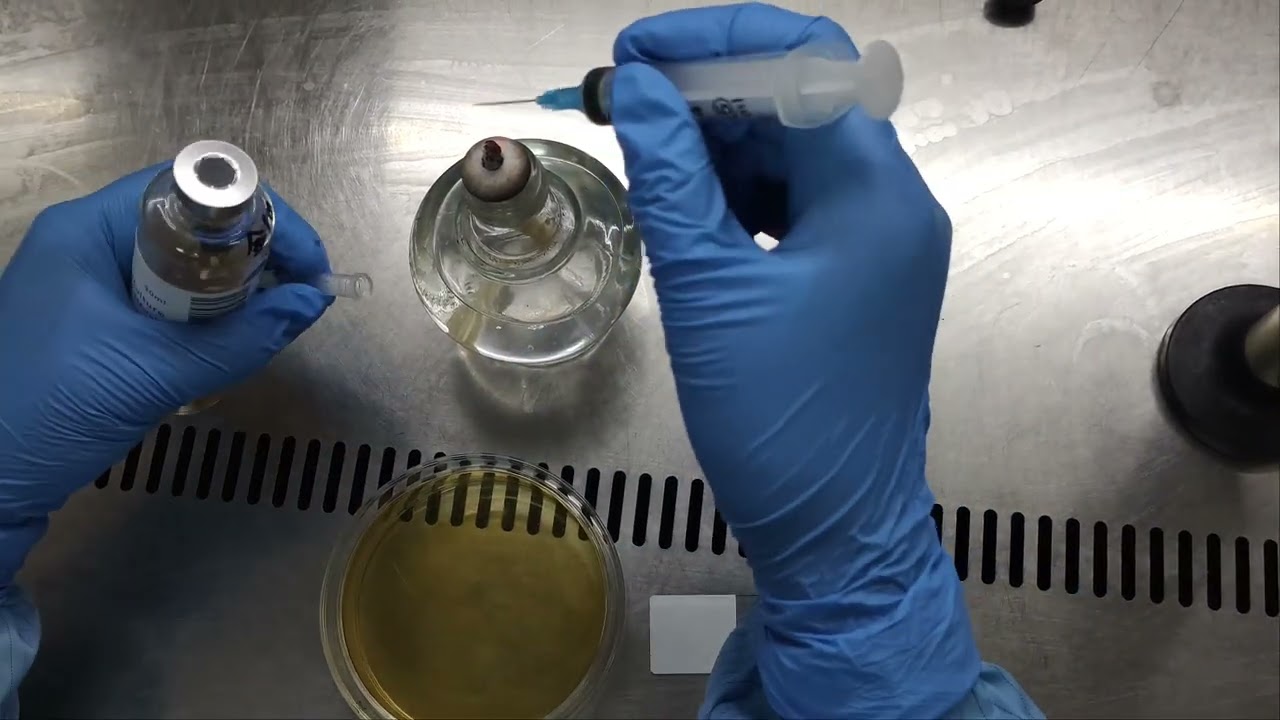Lituo Blood Culture Bottles Introduction（manual method）