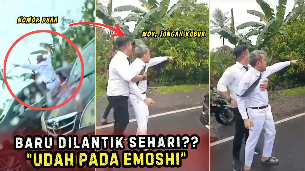KAP0OK‼️PREEMAN TENGIL LANGSUNG KENA BATUNYA  - DERETAN ORANG ORANG EMOSIAN | Eps152
