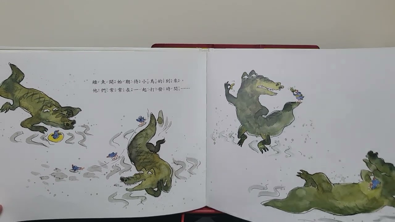 小鳥和鱷魚 #布可星球低年級 #故事分享