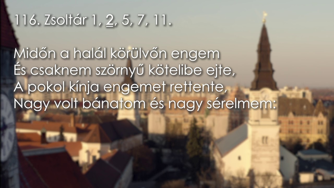 116. Zsoltár :: Szeretem és áldom az Úr Istent